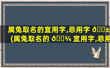 属兔取名的宜用字,忌用字 🐱 (属兔取名的 🌾 宜用字,忌用字有那些)